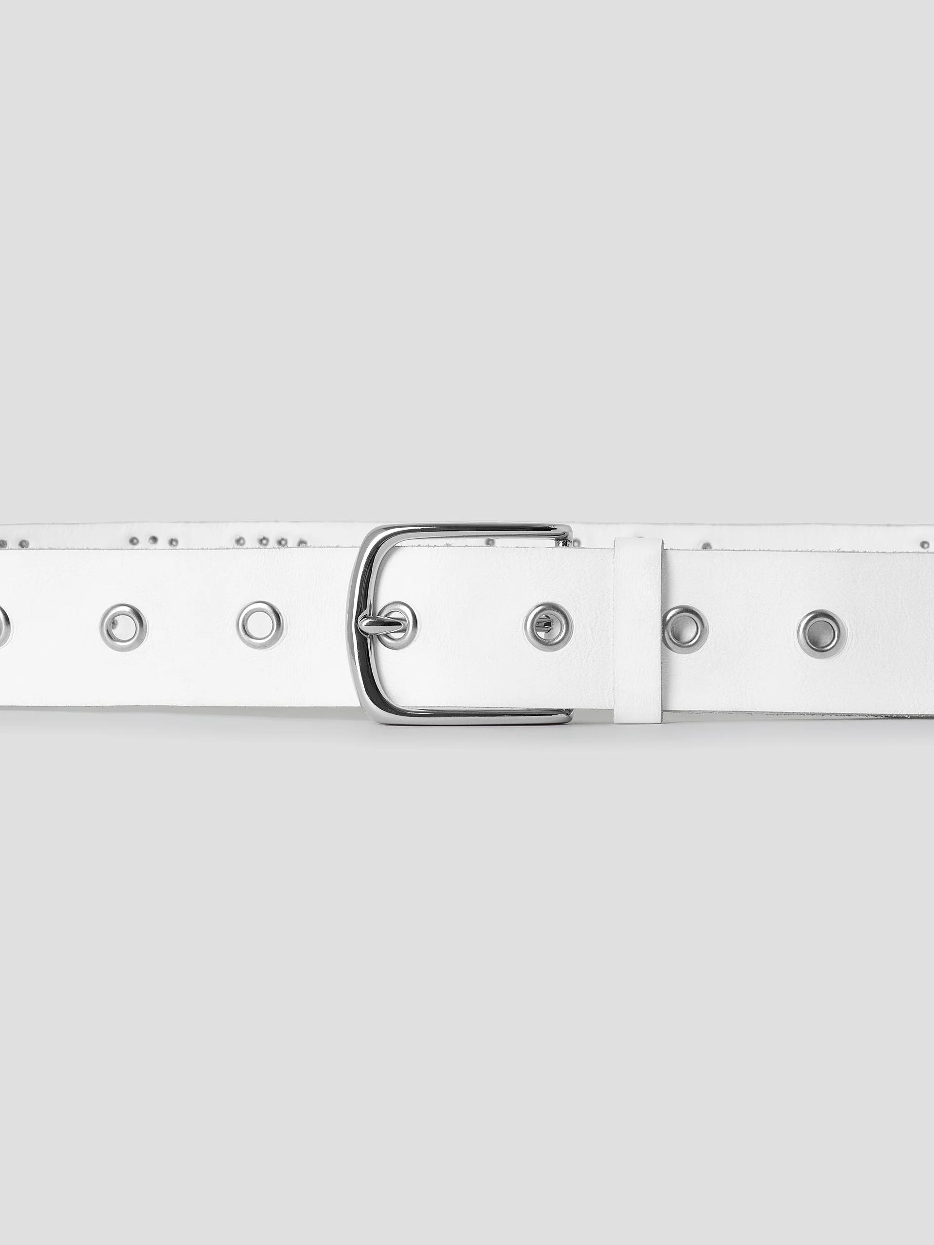 Fragile Belt - Image 7