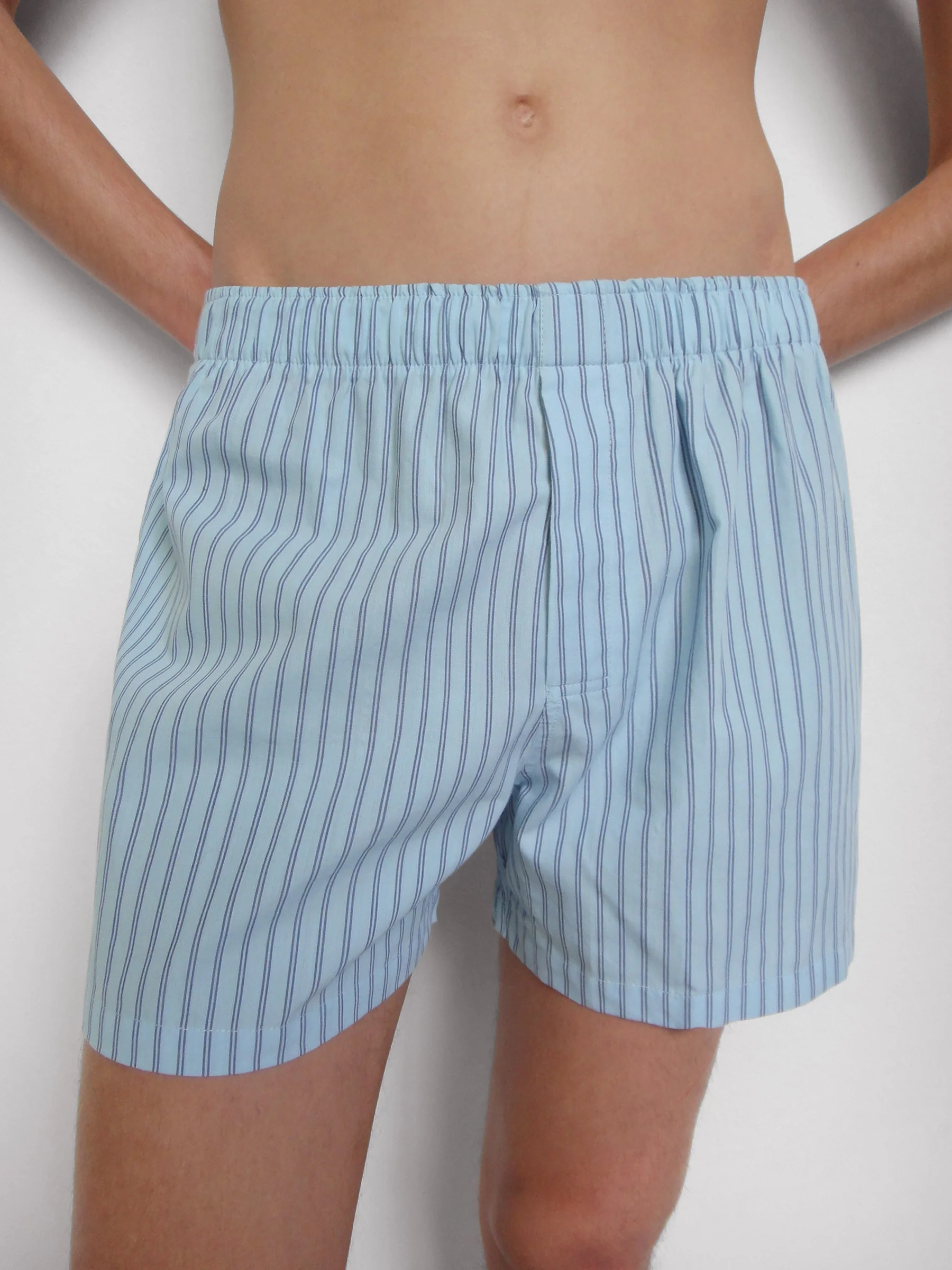 Male Boxer - Image 4