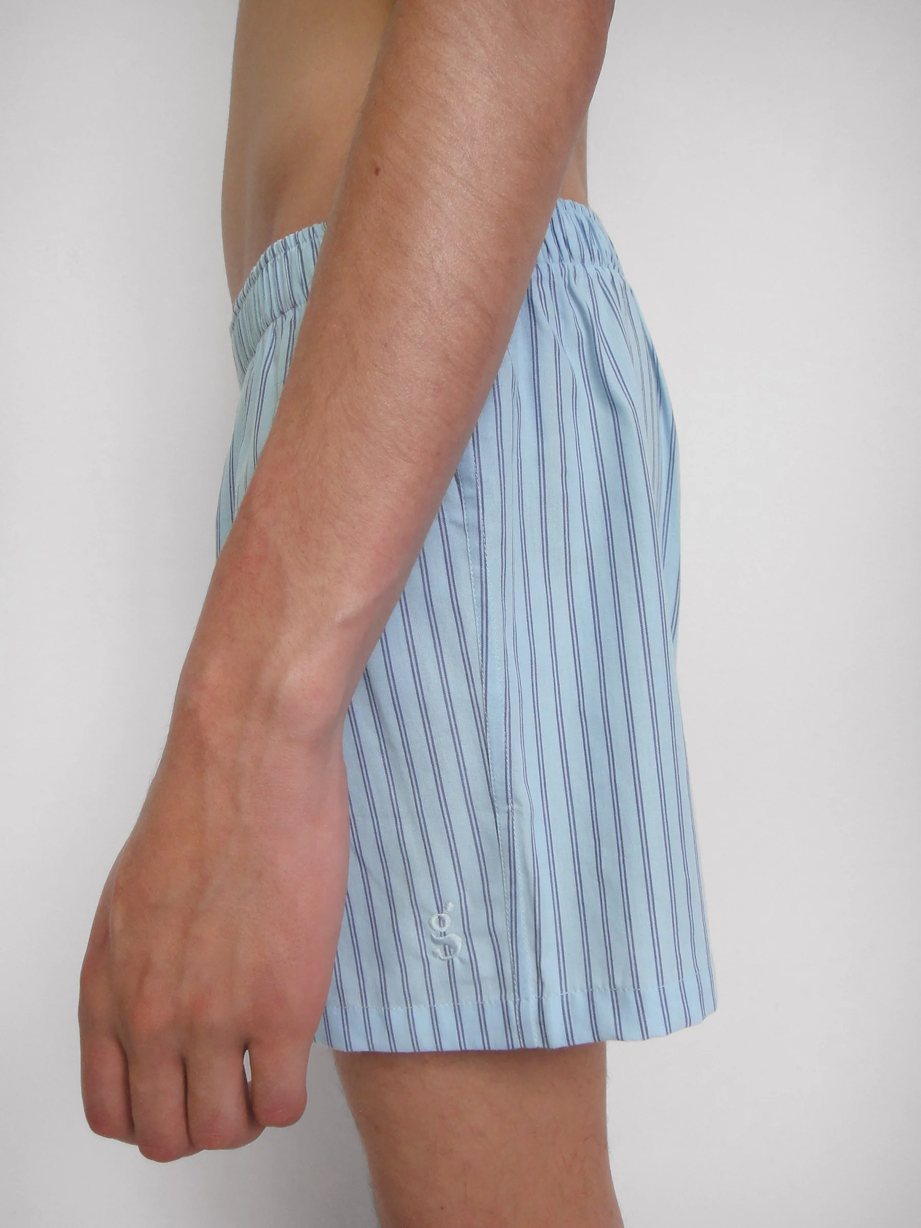 Male Boxer - Image 5